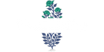 rivaajclothing